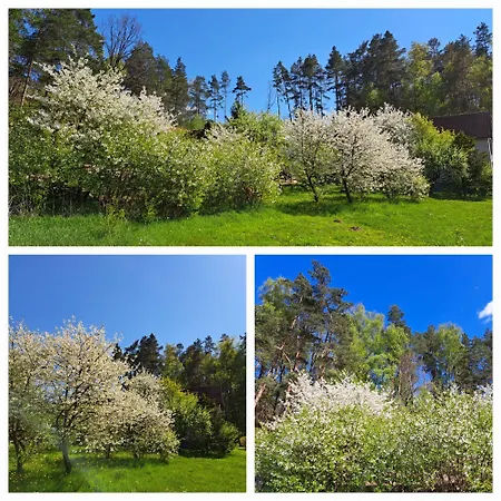 Agroturystyka u Krzysztofa i Mileny Kocioł Duży Pisz